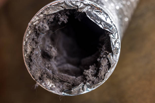 Best Best Air Duct Cleaning Near Me  in California, PA
